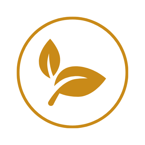NATURAL DISCIPLESHIP